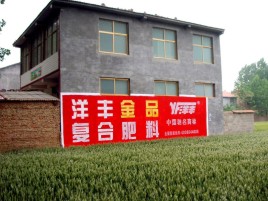 安义如何让墙体广告展现最大化效果