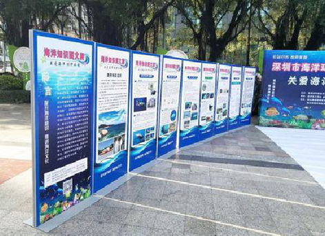 安义KT板的种类和知识。